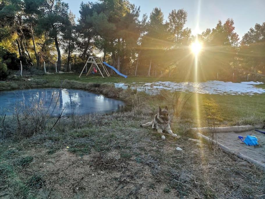 Mas Del Olivar La Portellada Kültér fotó